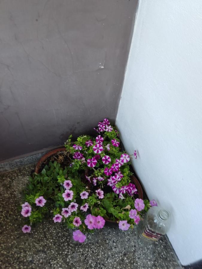 Къща За Гости Хайк Beli Osum Exterior photo
